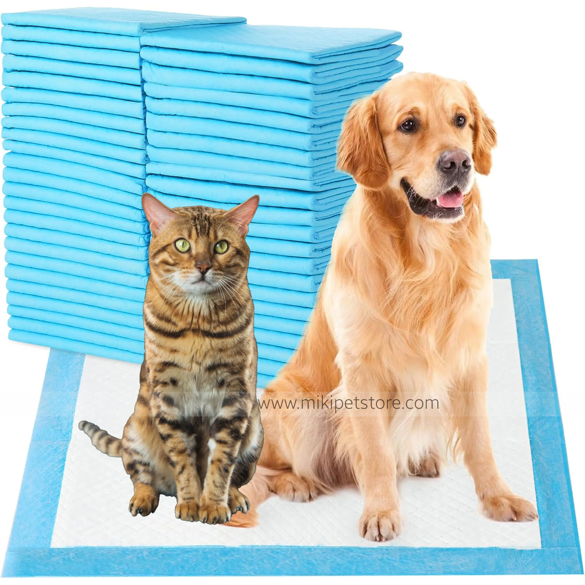 Pet Accessories